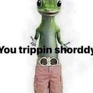 Meet your Posher, Nonnonnonnon